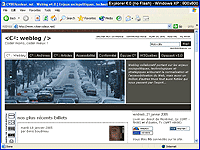 Capture d'écran sous Browsercam - résolution 800x600 - Internet Explorer 6.0 Windows XP