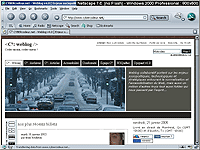 Capture d'écran sous Browsercam - résolution 800x600 - Netscape 7.0 Windows 2000